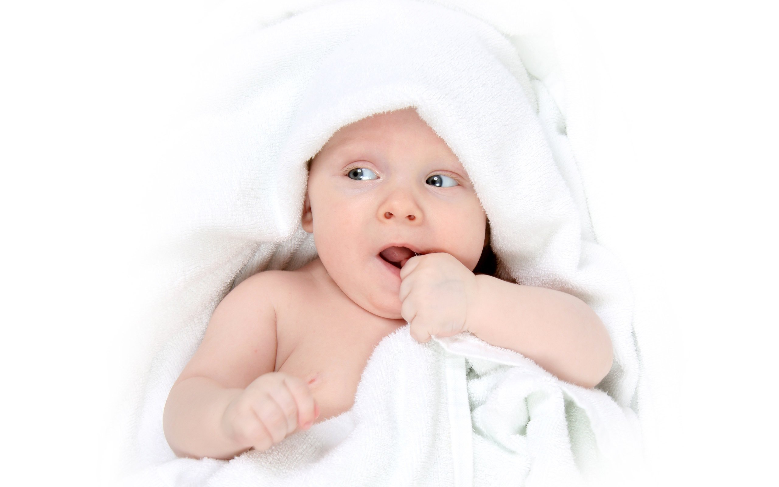 泰州供卵代怀试管婴儿双胞胎成功率